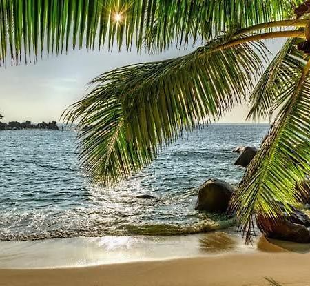 Baga Beach Palms 외부 사진