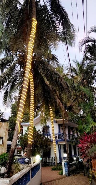 Baga Beach Palms 외부 사진